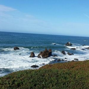 Meet your Posher, Connor